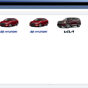 Snap-on Hyundai+KIA Global USA & Genesis USA EPC VMware 09.2021