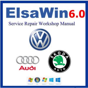2017 VW Audi Skoda ElsaWin 6.0   Work 100%（Free remote installation）